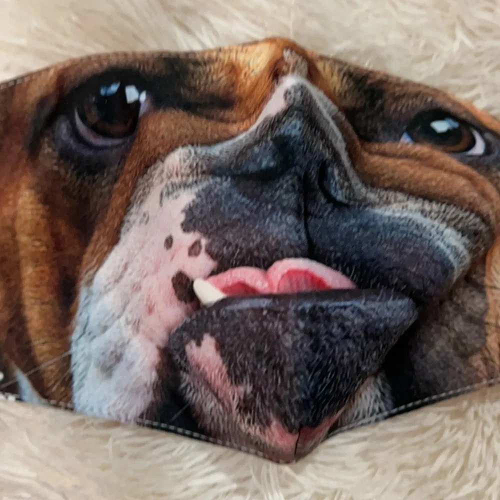 New Bulldog face mask
